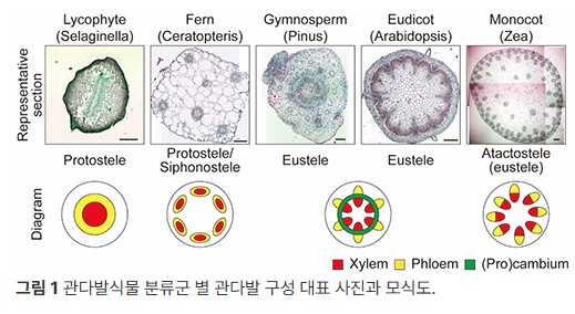 첨부파일