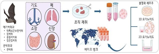 첨부파일