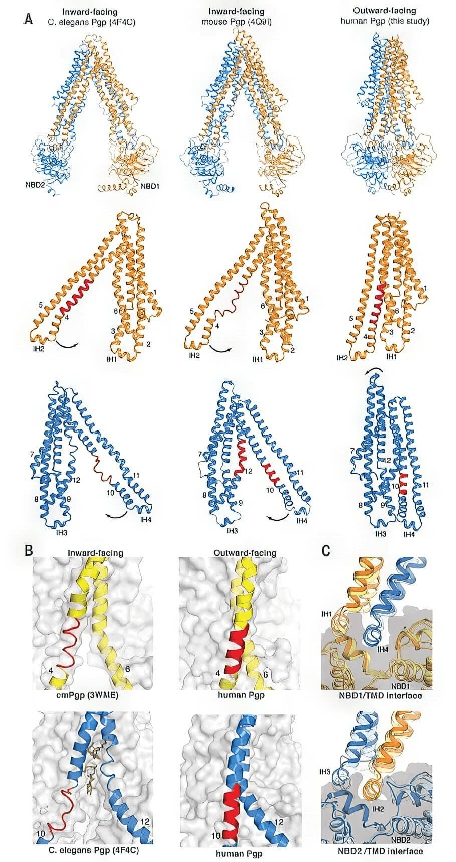 research_image