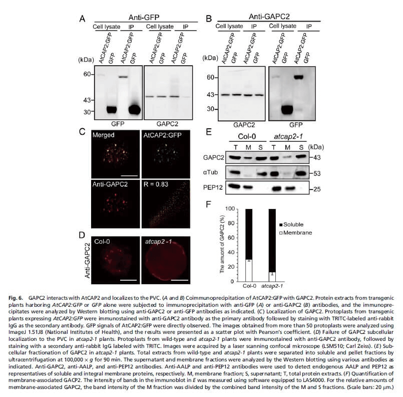 research_image