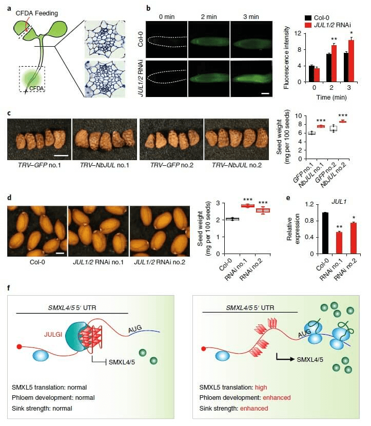 research_image