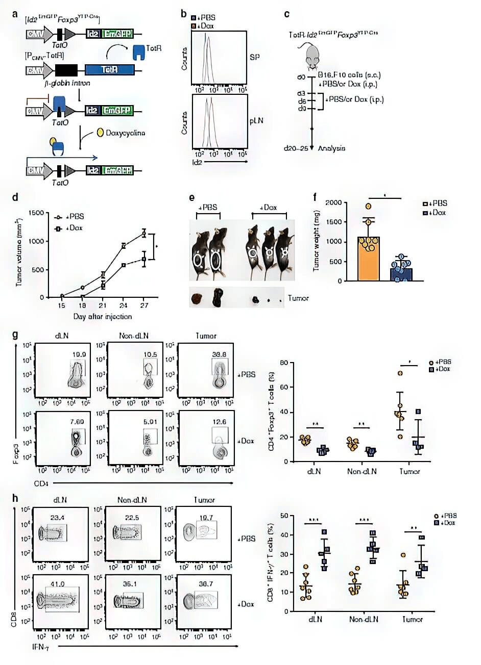 research_image