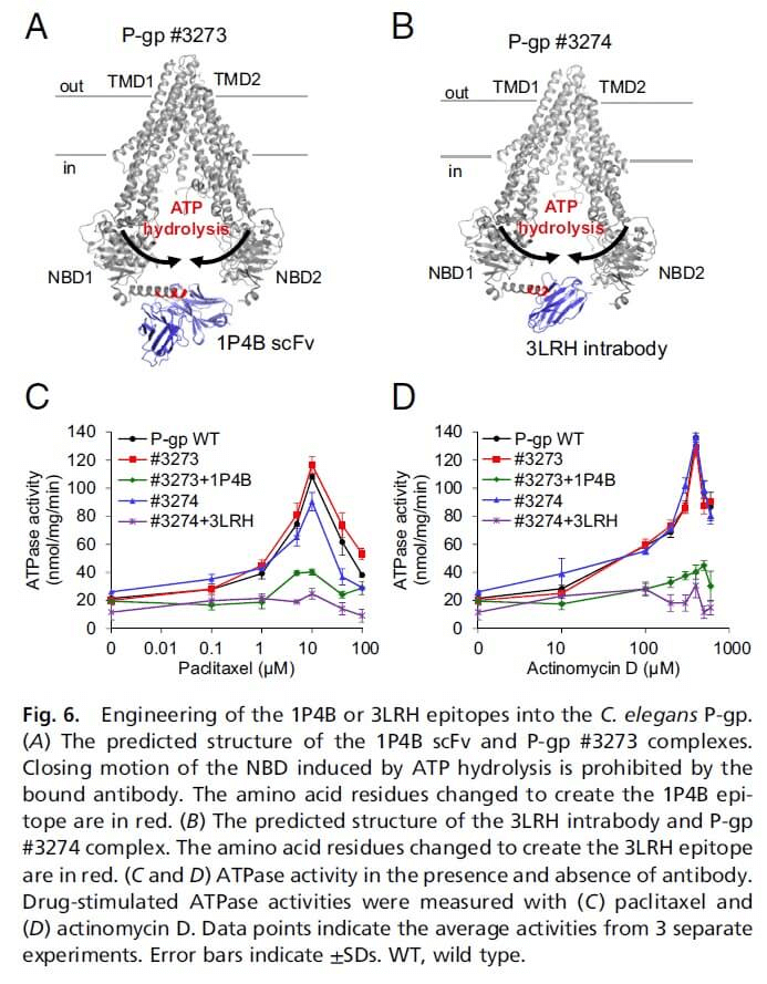 research_image