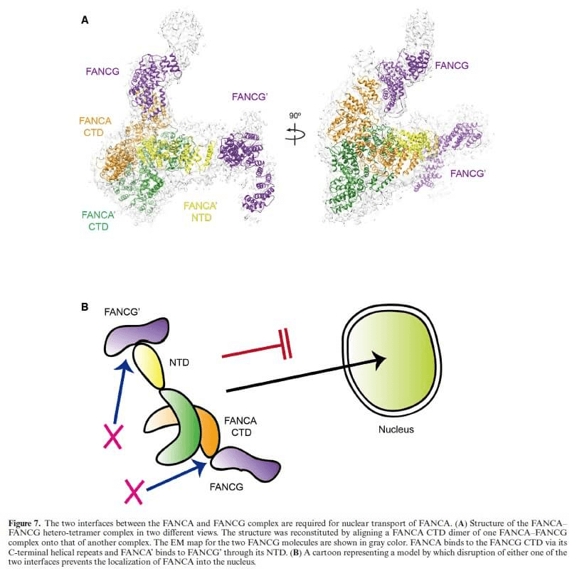 research_image