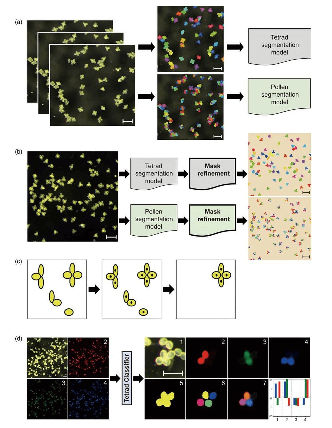 research_image