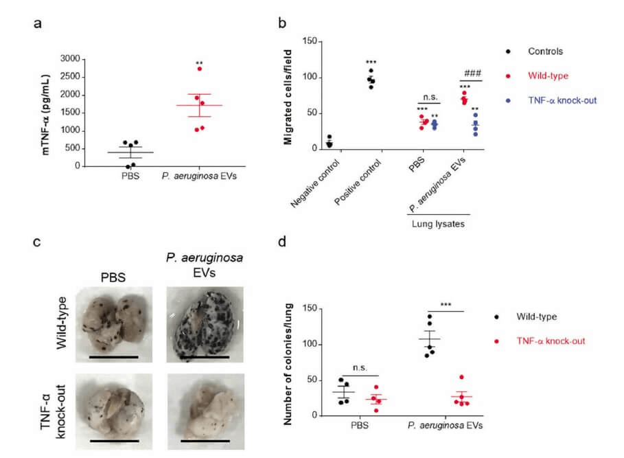 research_image