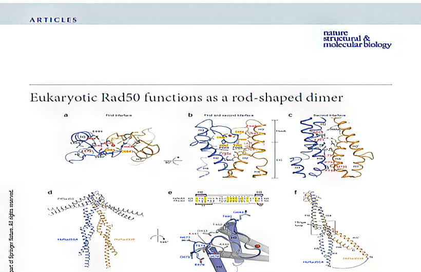 research_image