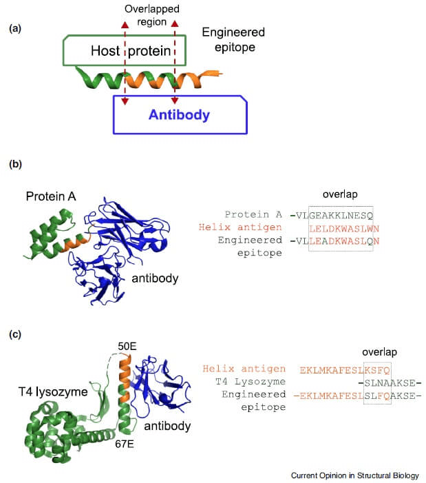 research_image