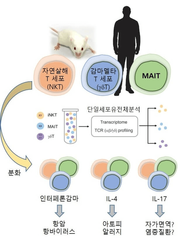 research_image
