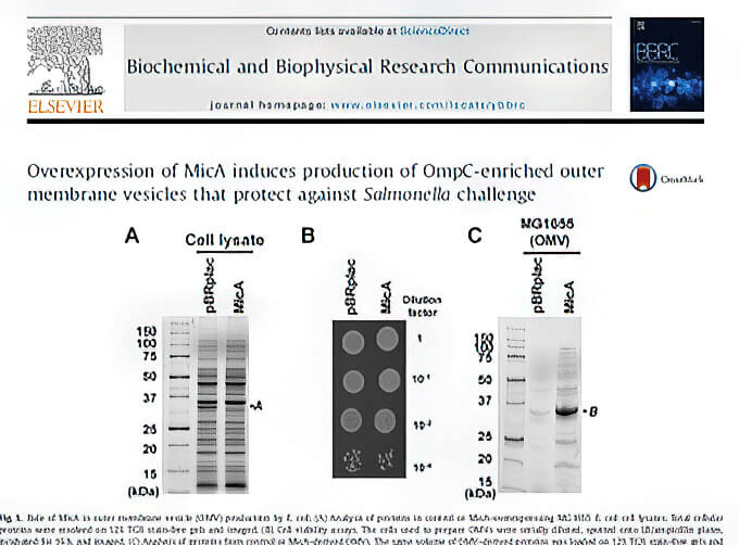research_image