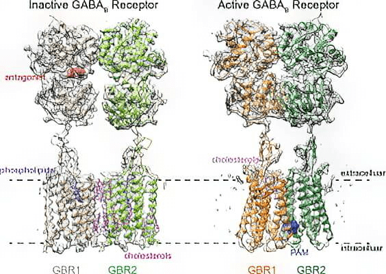 research_image