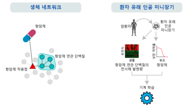 research_image