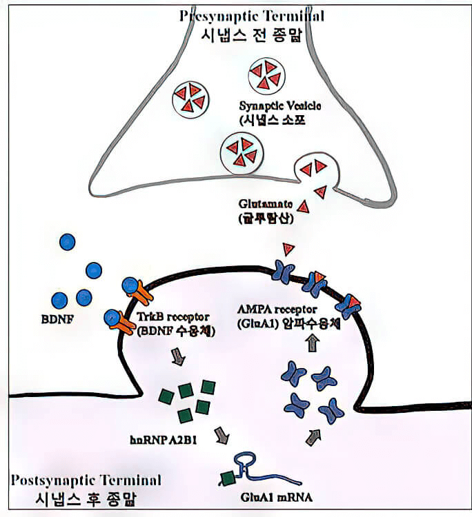 research_image