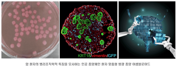 research_image