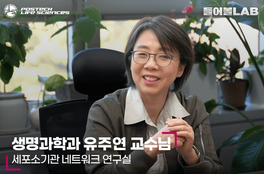 유주연 교수님
