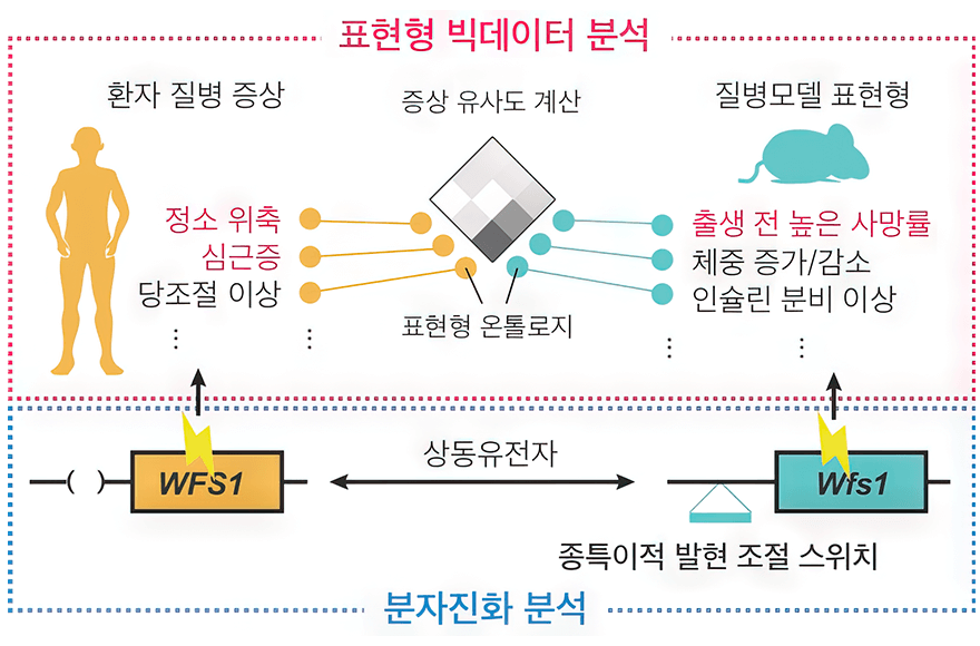 news_image