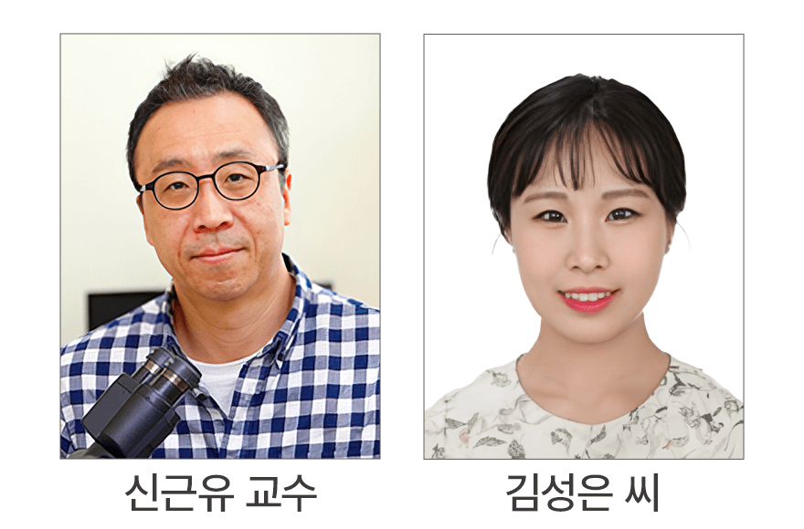 news_image
