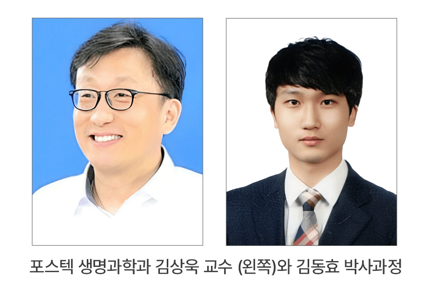 news_image