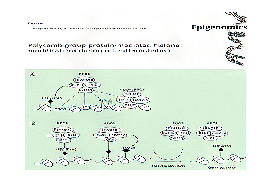 research_image