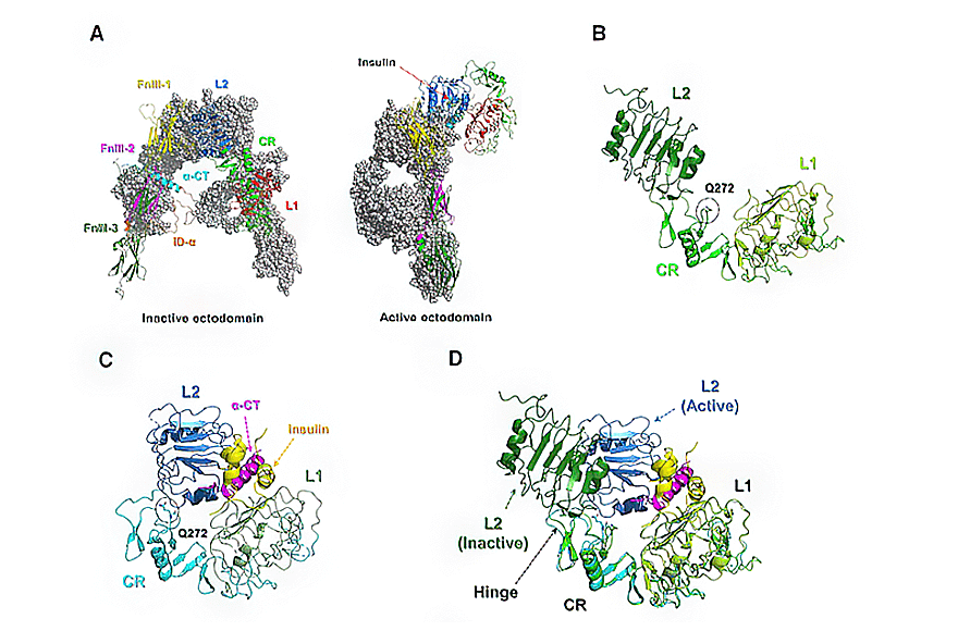 research_image