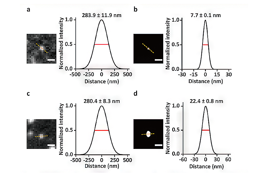 research_image