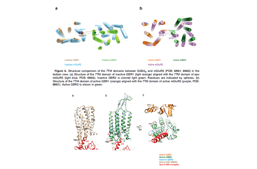 research_image