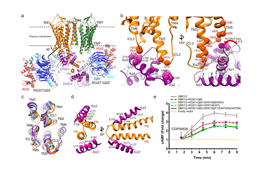 research_image