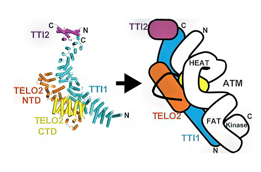 research_image