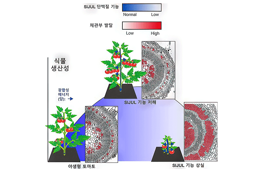 research_image