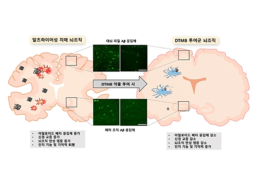 research_image