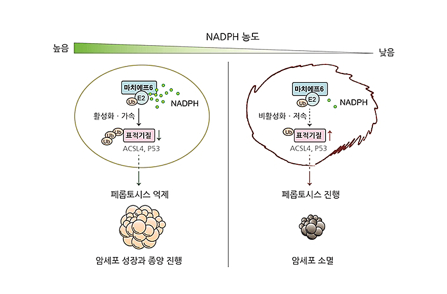 research_image