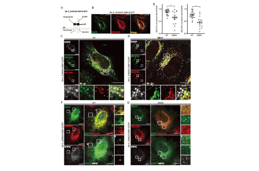 research_image