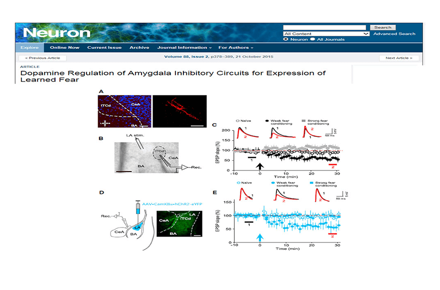 research_image