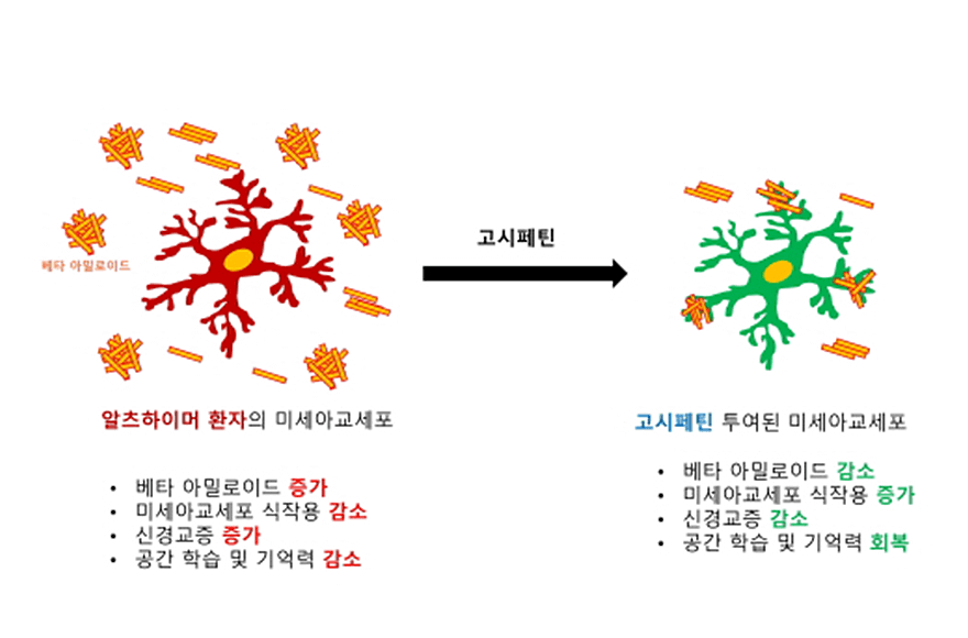 research_image