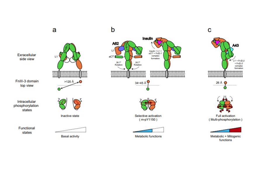 research_image