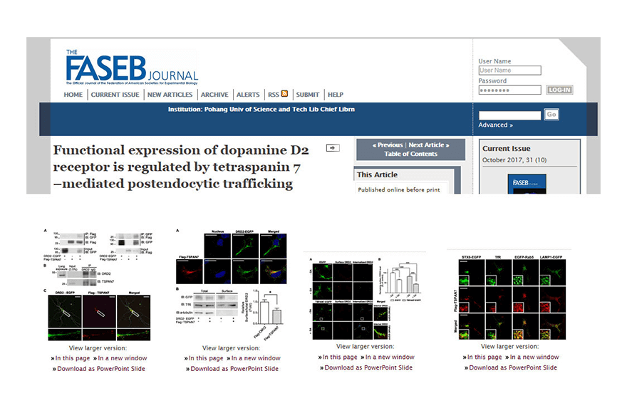 research_image