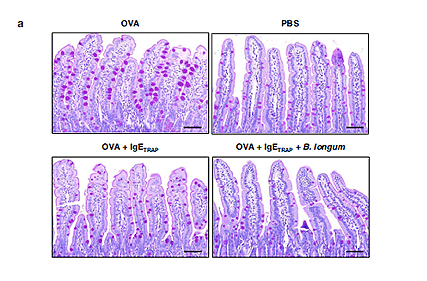 research_image