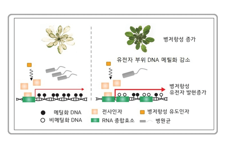 research_image