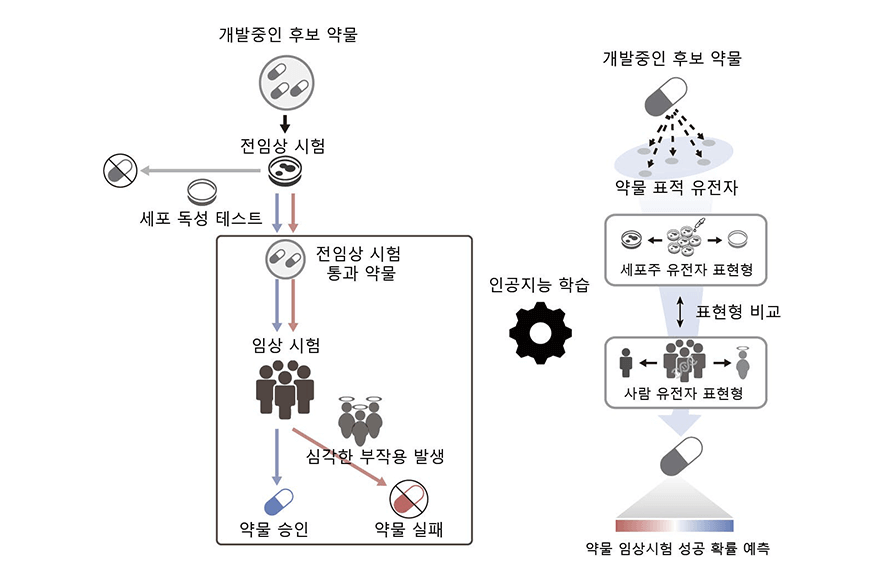 research_image