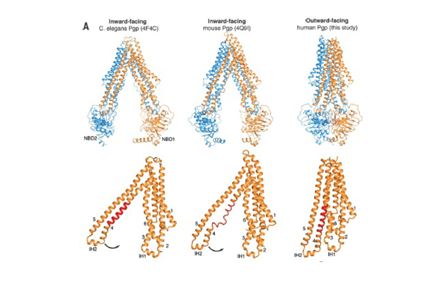research_image