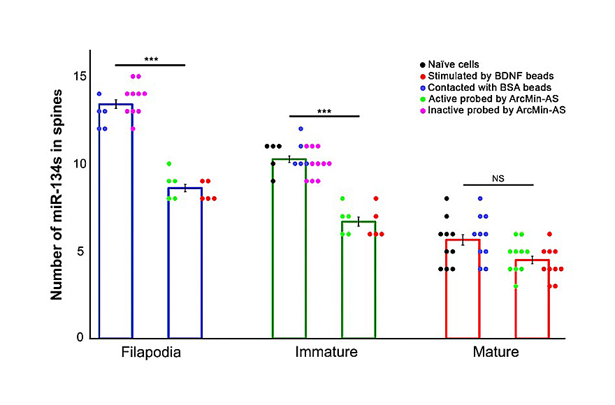 research_image