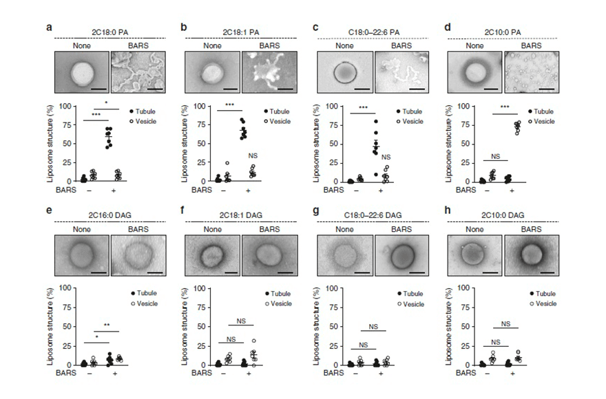 research_image