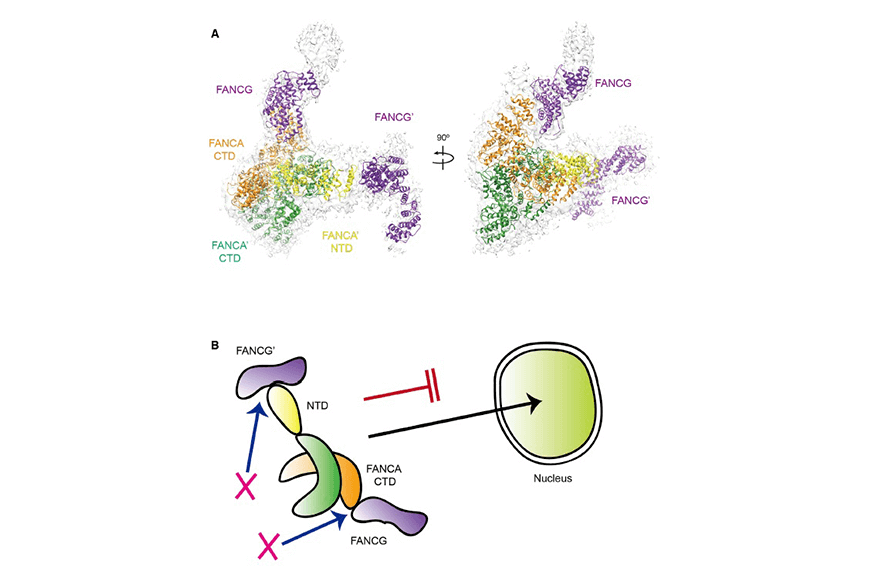 research_image