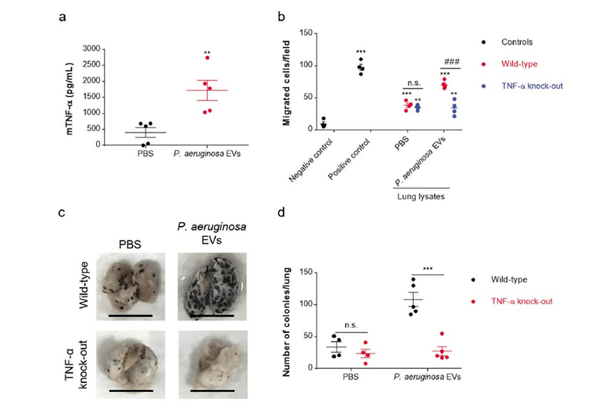 research_image