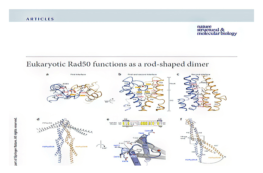 research_image
