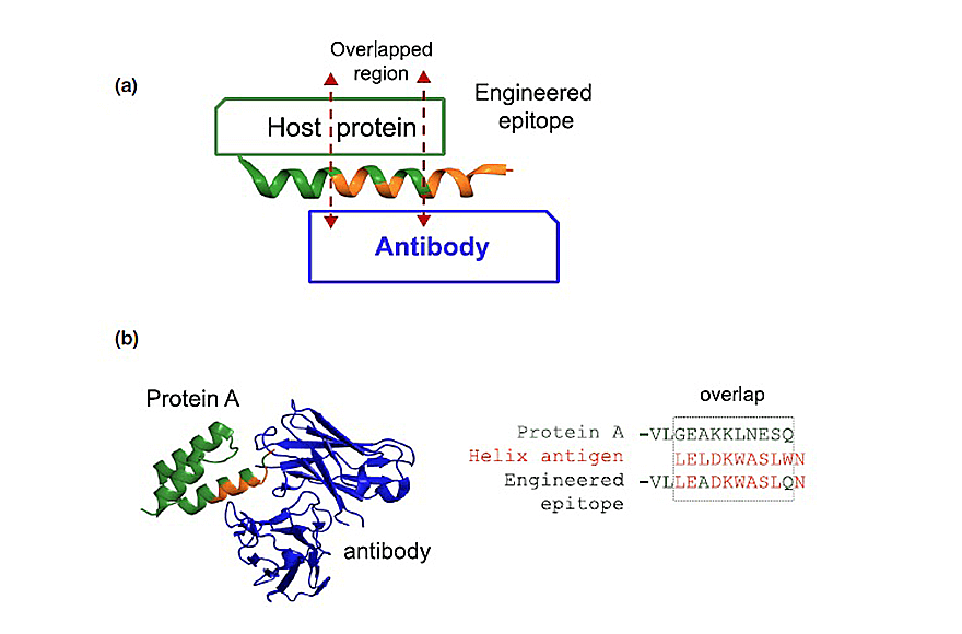 research_image