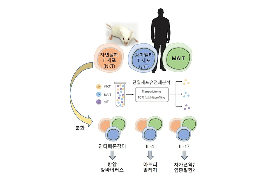 research_image