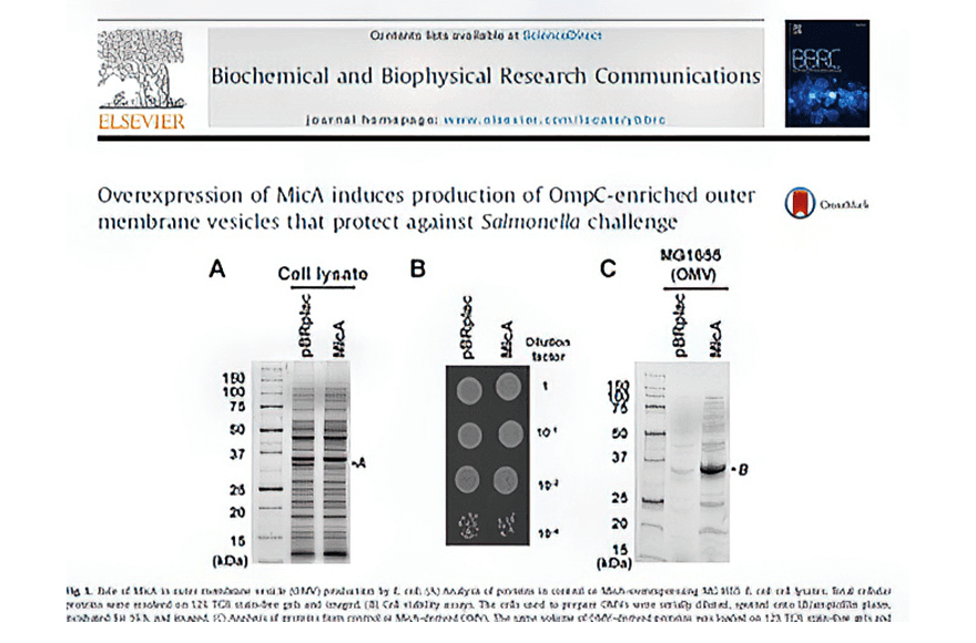 research_image