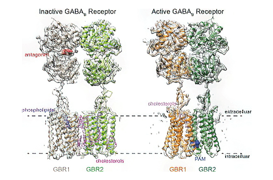research_image