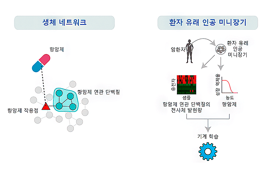 research_image